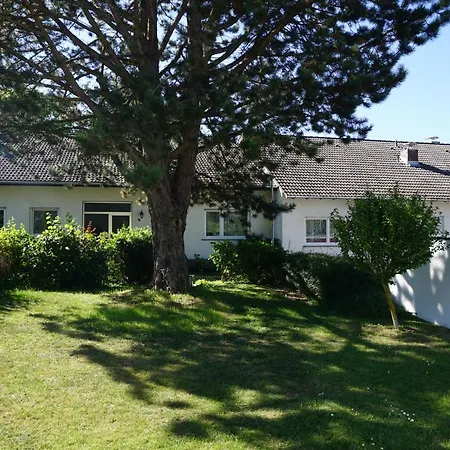 Greenline By Gregory - Mit Garten In Mainz, Zdf Naehe Mainz