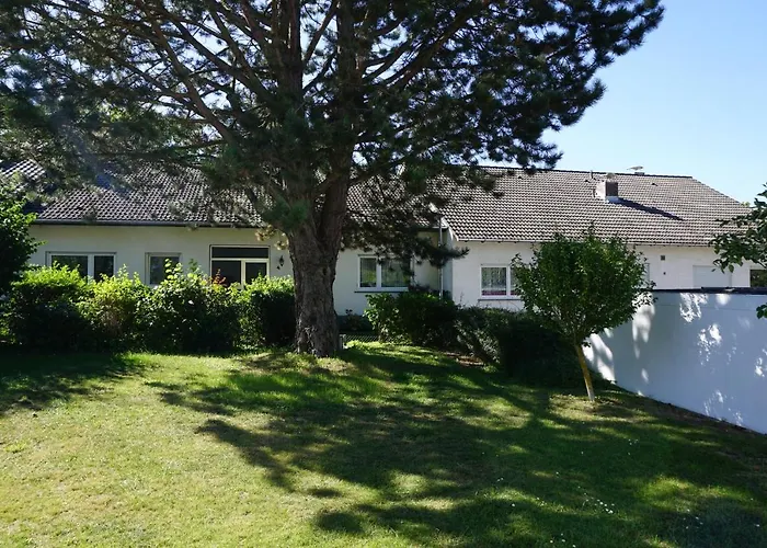 Greenline By Gregory - Mit Garten In Mainz, Zdf Naehe Mainz