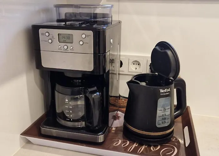 Greenline By Gregory - Mit Garten In Mainz, Zdf Naehe